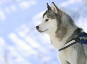 英雄联盟总决赛直播-利雅得的救赎，梅西绝境世界波拯救沙特生死战