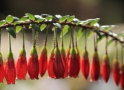 LOL决赛-唯一性，从德黑兰到巴黎，奥纳纳在奥运周期关键战接管比赛