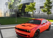 英雄联盟总决赛赛程-跨洋铁幕，希腊与澳大利亚的巅峰对决，赖斯个人能力的最后一击