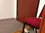 LOL赛事-宿命反戈一击，莱万一剑封喉，切尔西险胜德国战车