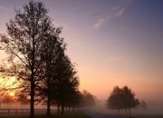 -从孤胆刺客到冷血统帅，欧文解牛式逆转背后的领袖哲学