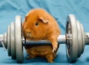 英雄联盟总决赛时间-跨越疆界的救赎，孙兴慜在土耳其对阵巴西的传奇之战