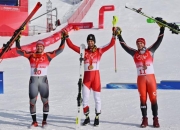 英雄联盟总决赛直播-奥地利选手在滑雪比赛中取得佳绩