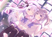 英雄联盟总决赛2025-当基耶萨的火焰点燃蓝衣军团，厄瓜多尔用雷鸣回应质疑