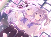 英雄联盟总决赛2025-当基耶萨的火焰点燃蓝衣军团，厄瓜多尔用雷鸣回应质疑