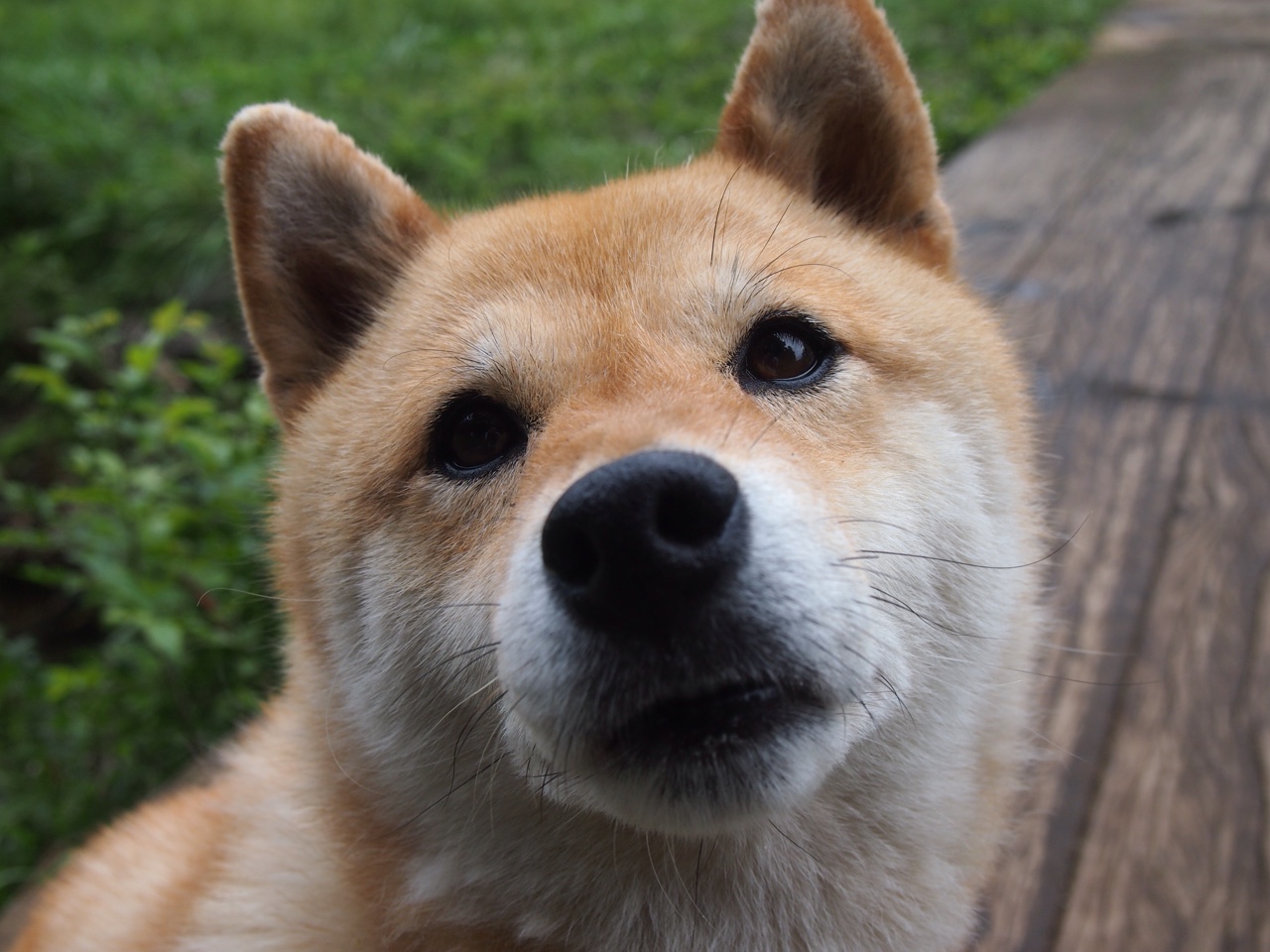 双线叙事,掌控力—从篮球场到F1赛道的终极较量