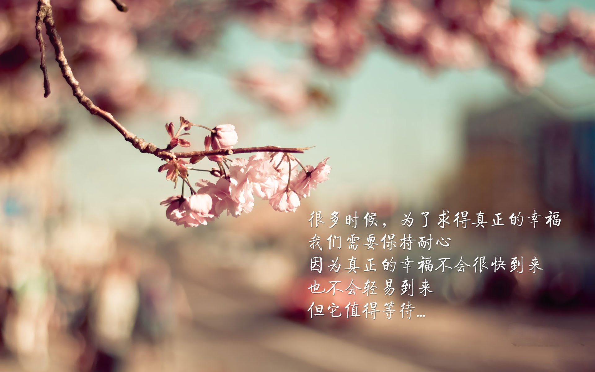 蓝色狂想曲,克瓦拉茨赫利亚如何在卡塔尔打破英格兰的节奏机器