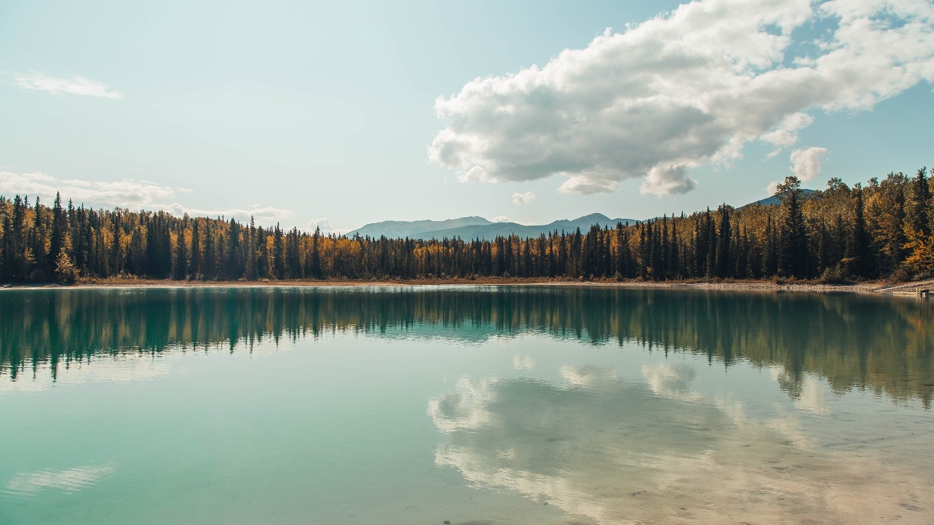 世界之巅，巨人之舞，恩比德的美加墨之夜