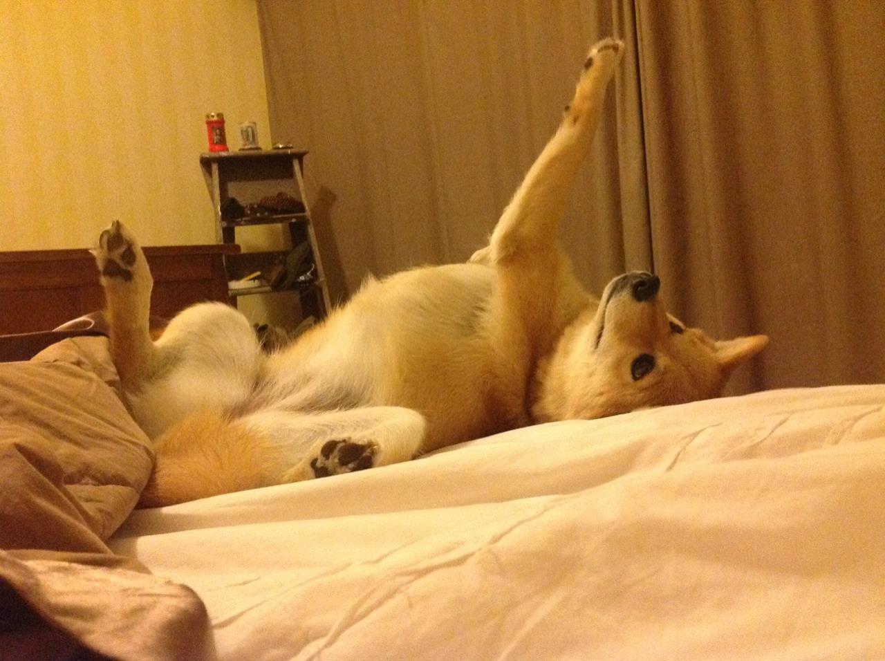 凛冬磐石，铁血锋芒，当阿拉巴扛起维也纳，马里血拼贝蒂斯