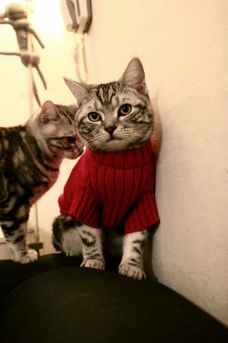 F1街道赛之夜，奥纳纳关键时刻站出来的传奇