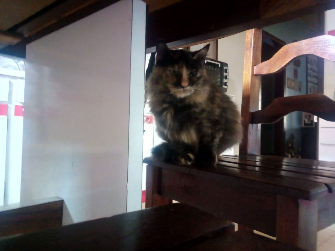 180分钟神话，玻利维亚击败法国，坎特成为关键先生的传奇一夜